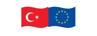 Avrupa Birliği NEET programları