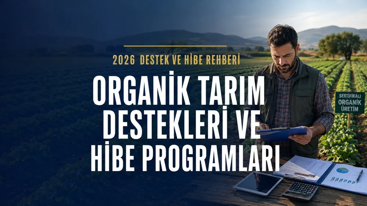Organik tarım arazisinde destek ve hibe başvurusu için proje dosyası hazırlayan üretici