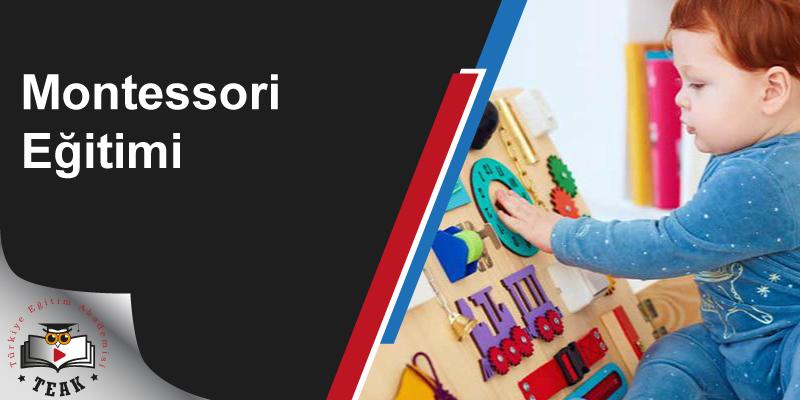 Montessori Eğitimi